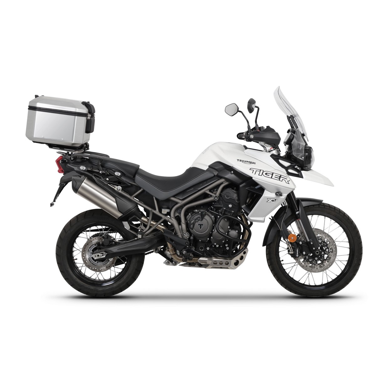 Supporto Bauletto Triumph Tiger 800 - Shad